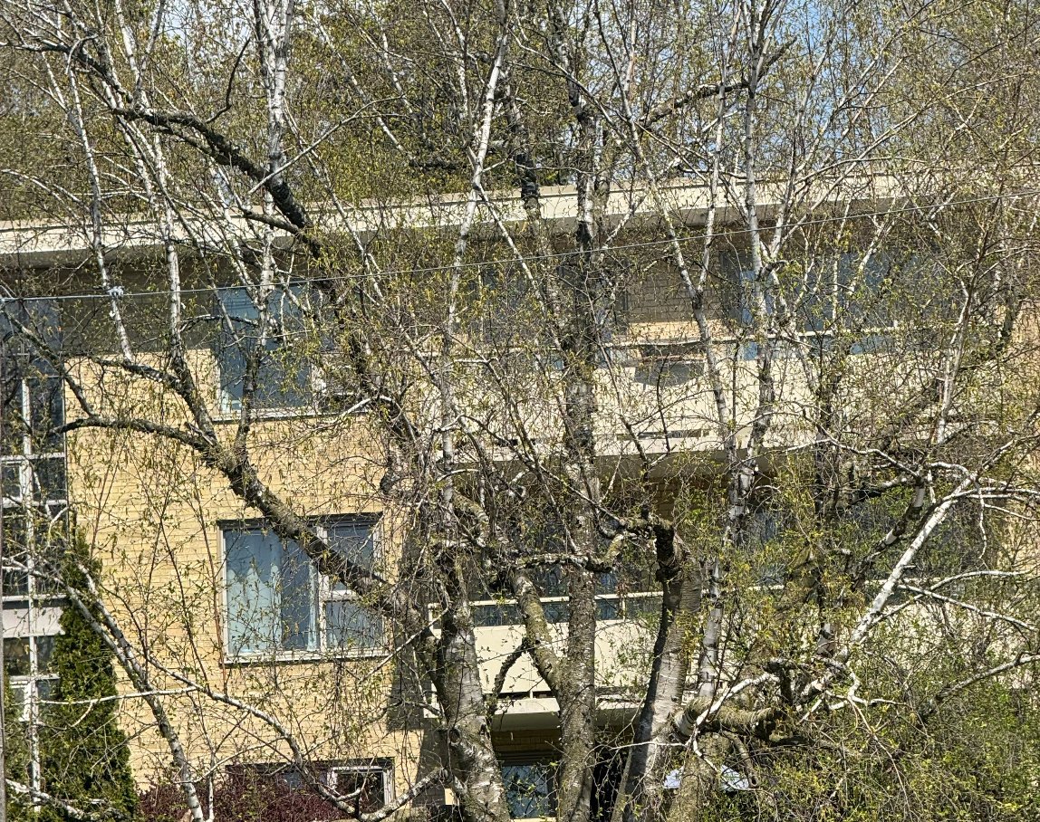 Figure 4 — Street View